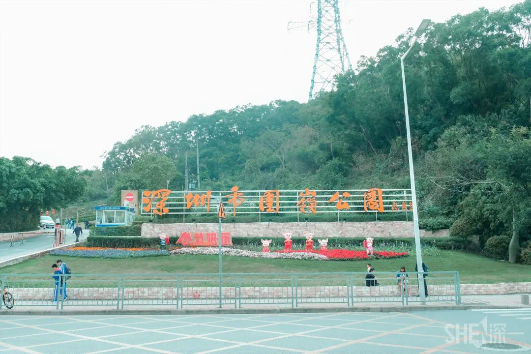 疫情期间免费开放的公园,疫情期间开放的公园有哪些