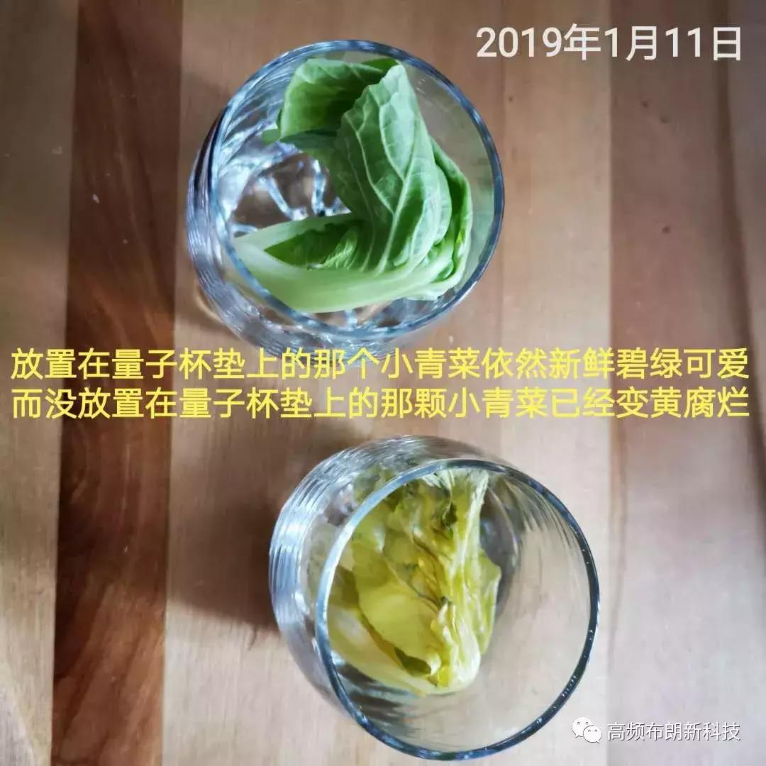 三域高频布朗能量腰带多少钱,三域高频布朗如何加盟