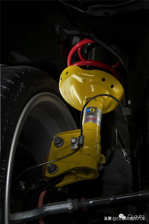 ​近乎残疾，不忍直视|流浪豹STI收养记Vol.01