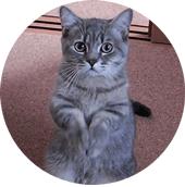 相逢一场只求留下最美好的时光,相识一场希望你以后好好的