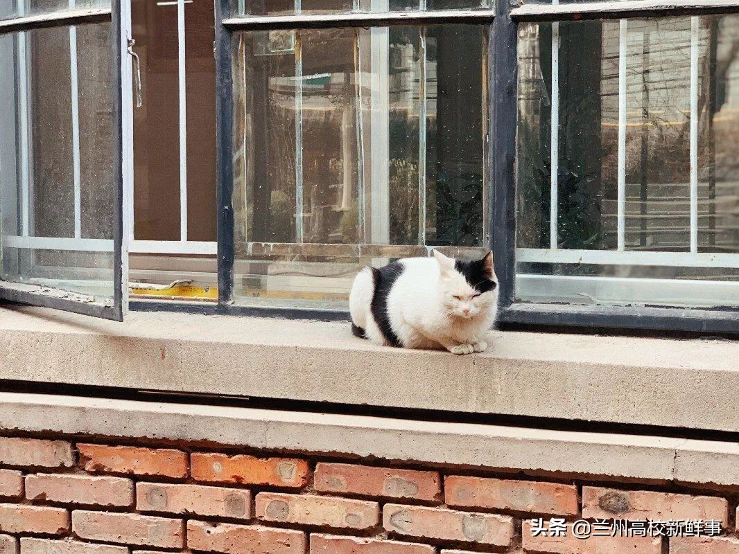 兰州理工大学简介,兰州理工大学百科