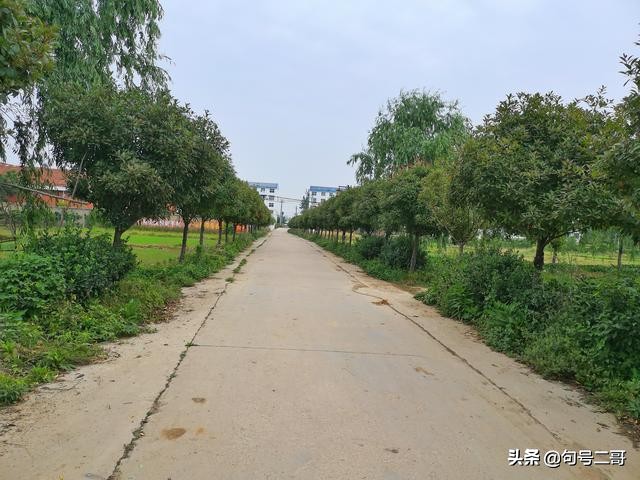 湖北省云梦县美丽乡村行,云梦伍洛美丽乡村