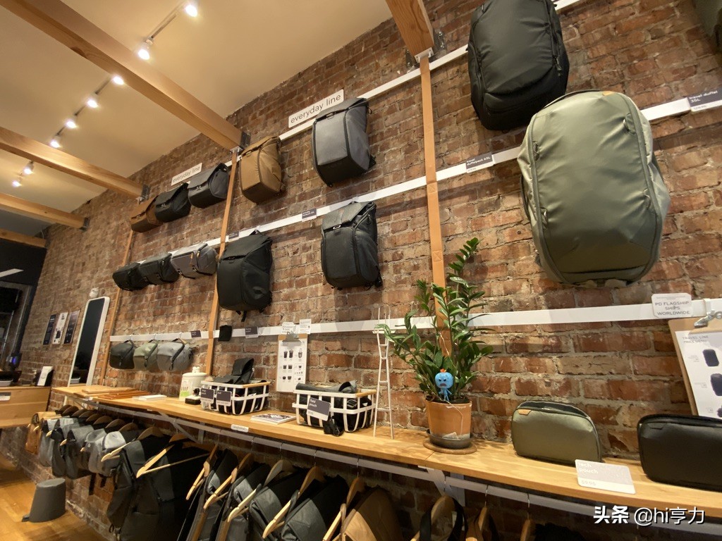 旧金山旅行指南,玩转旧金山