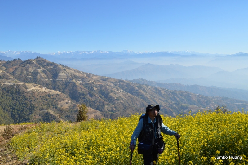 第1844回:皆伐破坏栖息生态,间伐劳工大象伐木