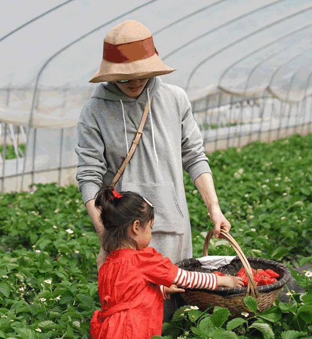 孙俪同款日本uv防晒草帽,日本孙俪同款大檐草帽