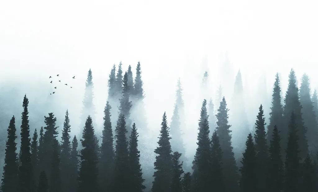 聚划算扣点,聚划算领券在哪里