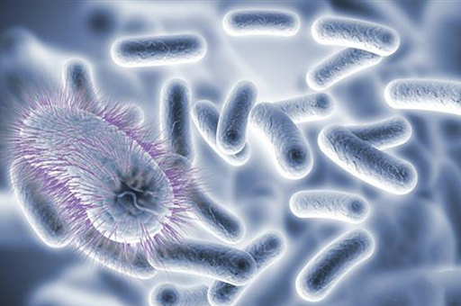 以前人们长虱子现在怎么没有了,以前人们身上有虱子现在怎么没有