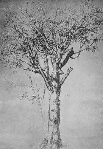 达芬奇画画懂得什么道理,达芬奇一共画了多少个鸡蛋