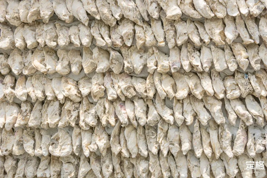 沙井万丰哪里的生蚝好吃,深圳沙井生蚝最出名店