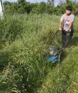 果园割草机哪一款最好,新型果园割草机