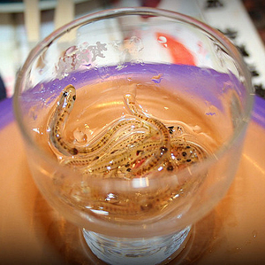 秘鲁青蛙汁的功效与作用,秘鲁青蛙榨汁做法