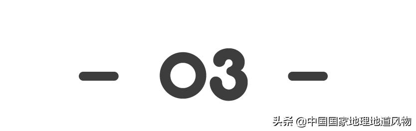 李子柒绵阳的吗,李子柒深山隐居