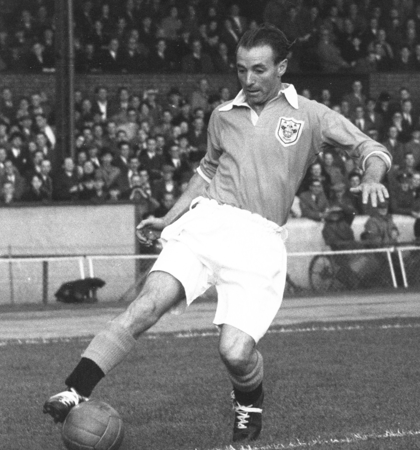 20世纪最伟大的足球明星的资料,足坛20世纪最伟大的10人