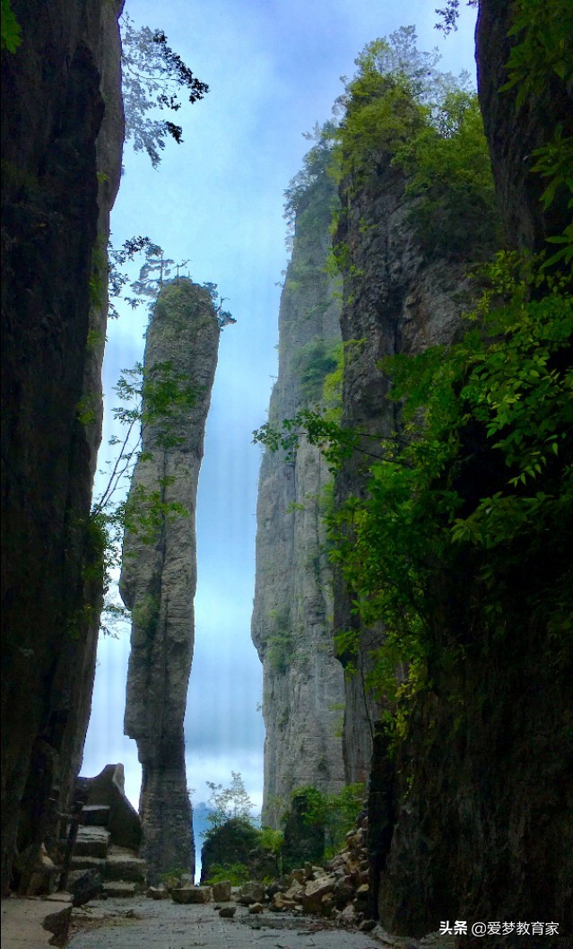 李筱懿新书气场哪里来的,气场哪里来李筱懿读后感