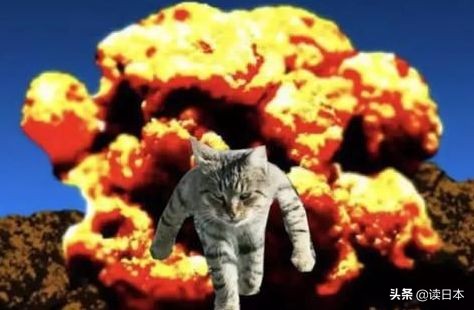 沙雕手办日本小哥,日本沙雕手办小哥哥