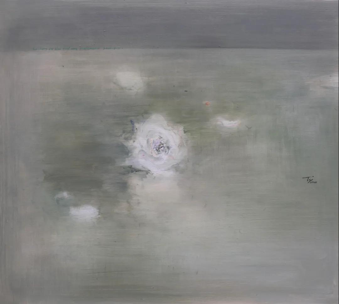 未解之谜大揭秘,未解之谜解说