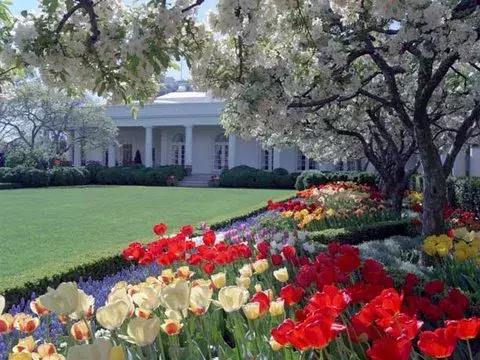 云鬓并不珠翠｜BunnyMellon，一个世纪的美国风华