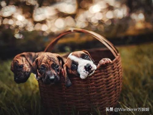 10句特别阳光的英文句子，撑不下去的时候读一读，舒怀很多