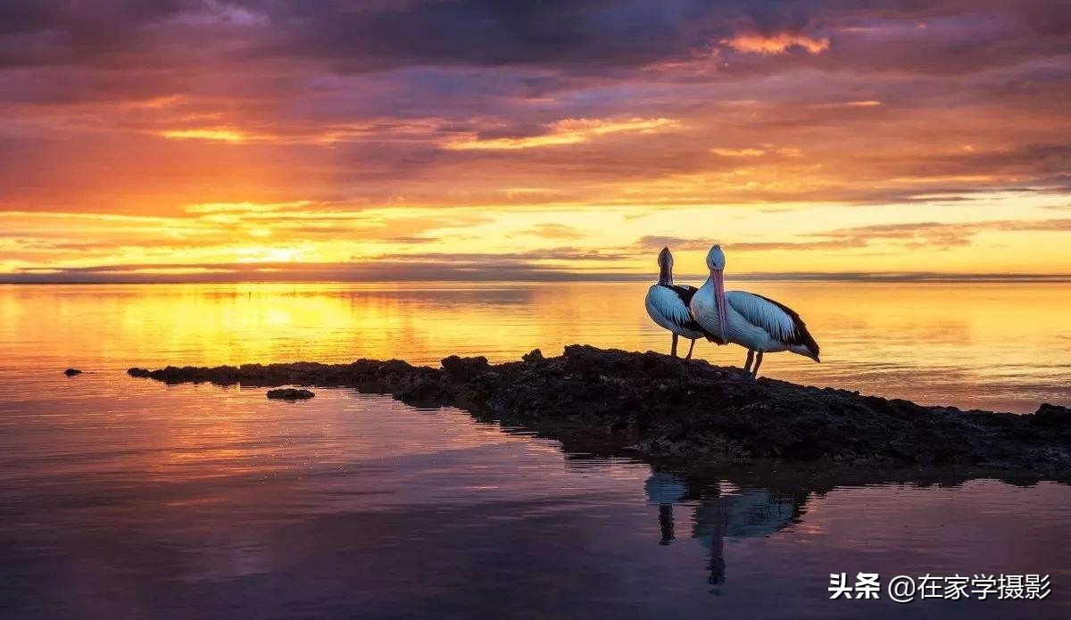 相机拍摄的人像看着“黄”，哪出问题了？这六点帮你解决疑难杂症