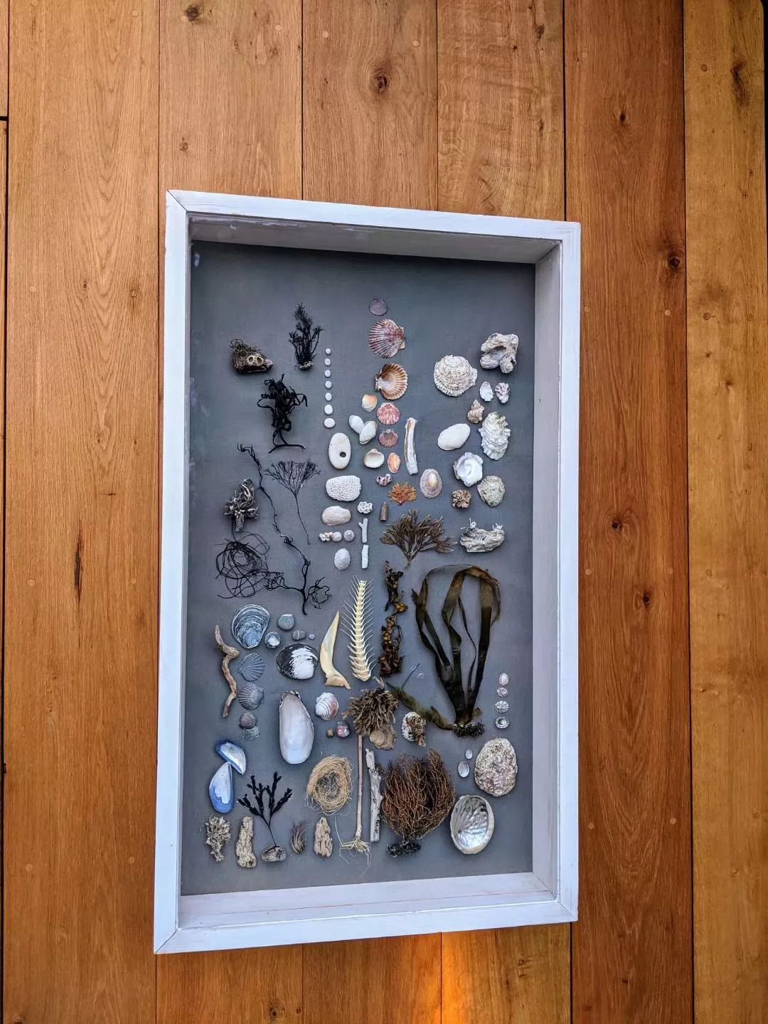 世界第一餐厅NOMA:“有什么吃什么”的能耐和“改变世界”的勇气