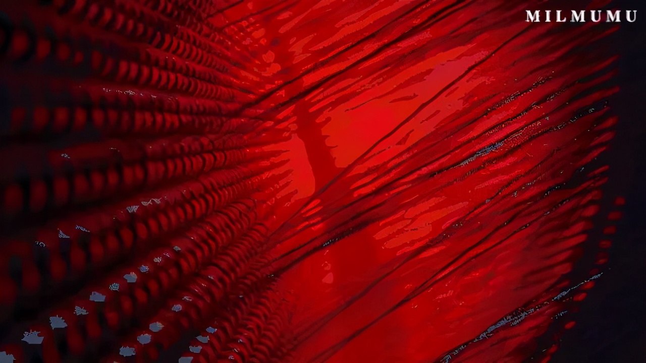 御寒保暖神器冬季必备北极绒,熊绒绒衣服