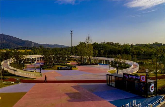 藏不住了是什么梗,藏不住了武清宝藏赏荷地全公开