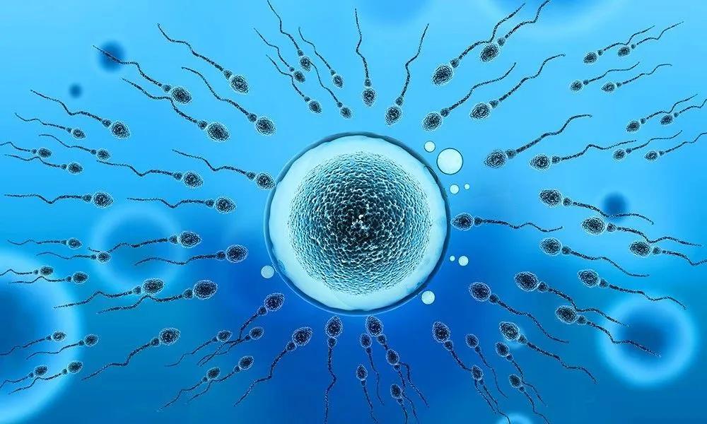 反复移植失败做第几代,移植囊胚失败是什么原因