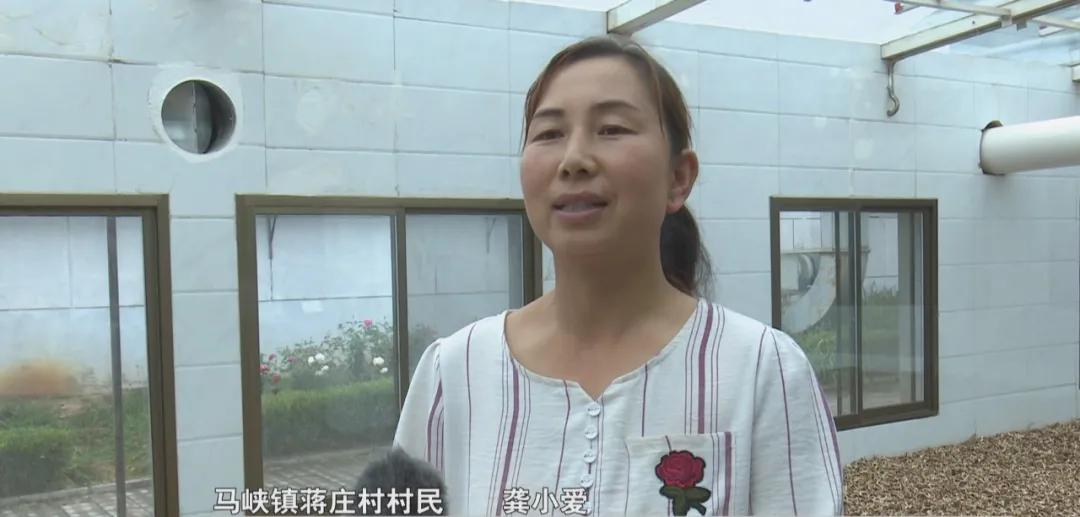 平凉市青松中药饮片有限公司,青松中药饮片有限公司