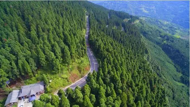 成都小众网红打卡地,成都最值得去的小众打卡地