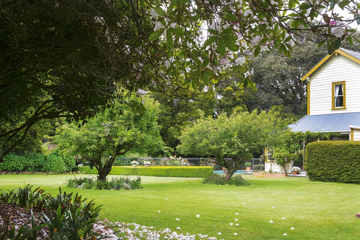 在新西兰奥克兰生活,在新西兰生活的优势