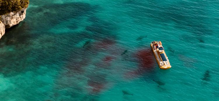 鲨海逃生上映电影,鲨海逃生史泰龙