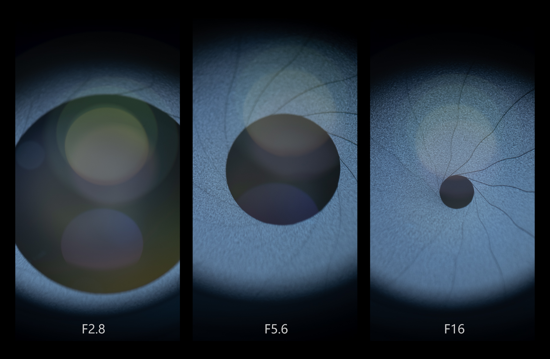 福伦达35mm1.5镜头好不好,福伦达35f2镜头评测