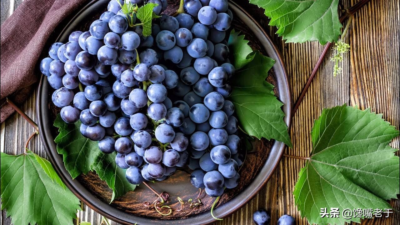 绔嬬鍚庣殑娌欐紶瑗跨摐,鍏ョ鍚庣殑瑗跨摐鑳戒笉鑳藉悆