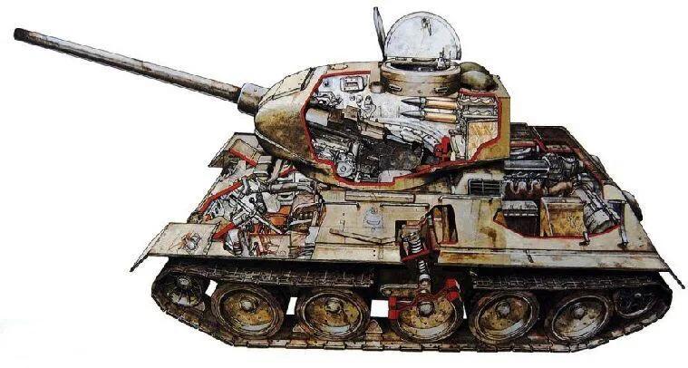 鏈棩缁濇潃瑙ｈ鍙嶅簲,鏈棩缁濇潃