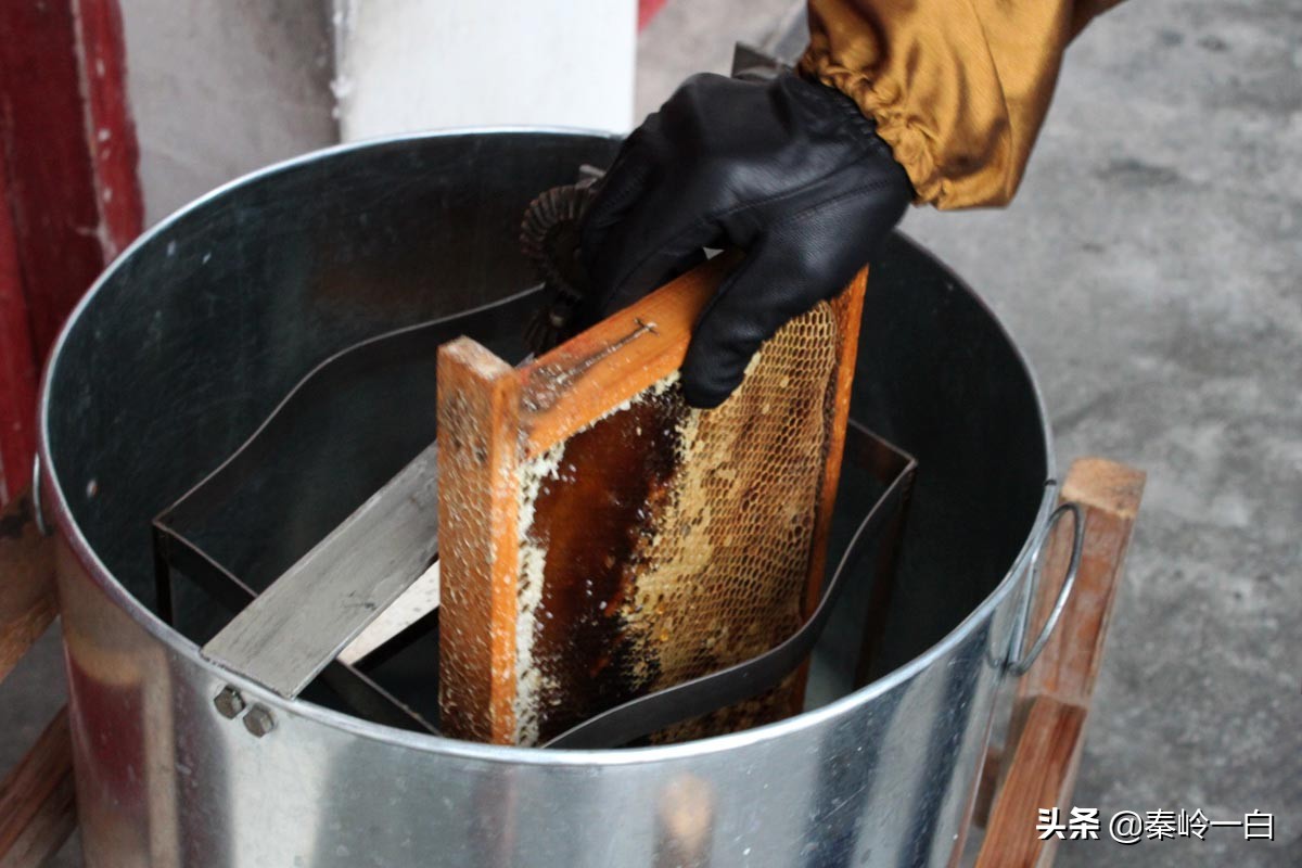 蜂蜜里的小黑点是虫吗,蜂蜜上面有一层黄色点点还能喝吗