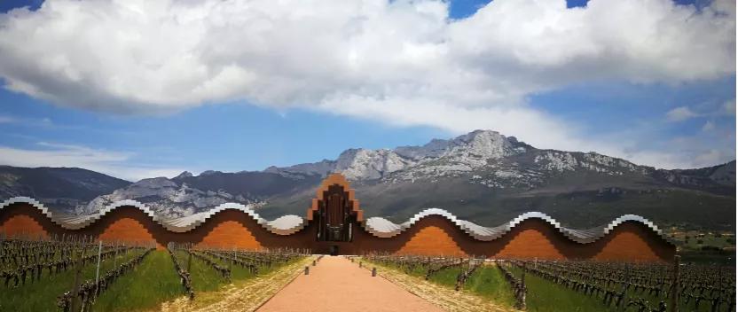 这个分类能代表西班牙葡萄酒的最高品质吗?一篇文章带你搞懂