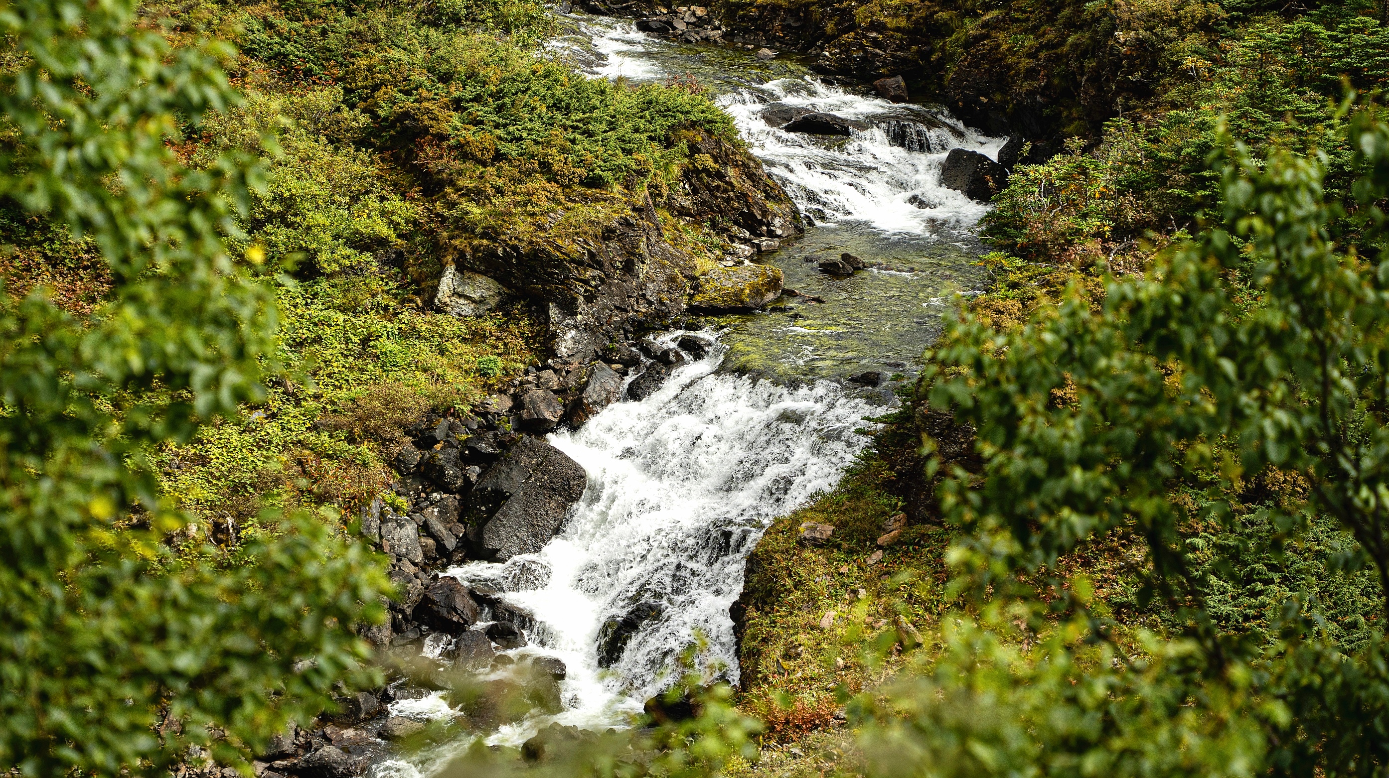 云南香格里拉旅游秘境,云南香格里拉藏着一个雪域秘境
