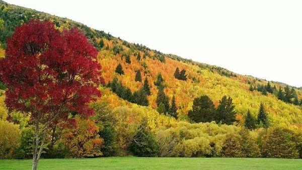 新西兰自由行攻略大全,当你想出去旅游时