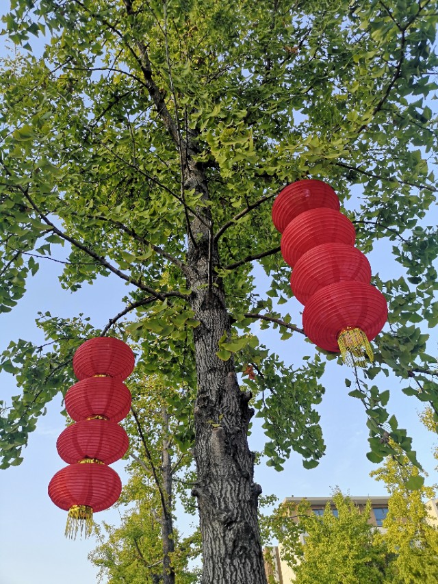 诗意栖居江南,诗意水乡周庄