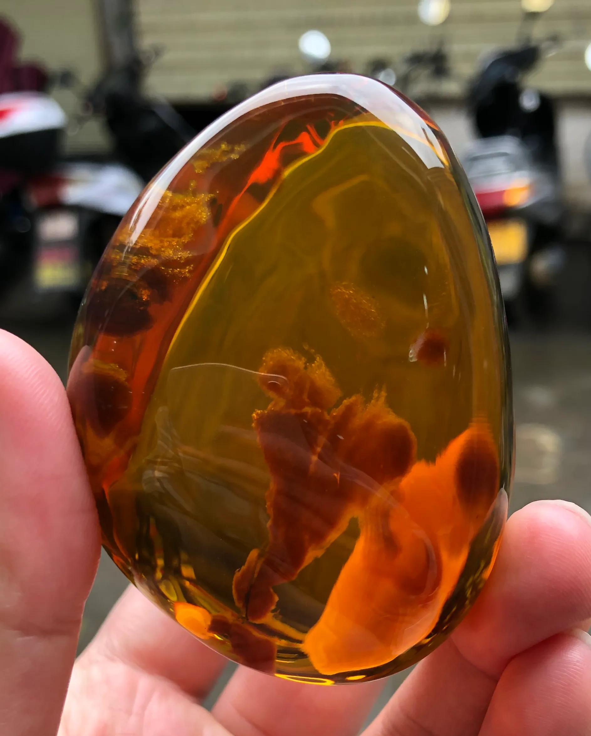 缅甸水胆琥珀收藏价值,缅甸琥珀根珀价格收藏价值