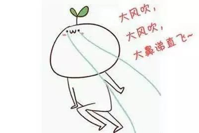 当北方人第一次来湖南冬天,当北方人第一次来到福建过冬