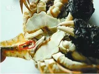 寿光羊口海鲜什么时间去合适,寿光羊口开海时间