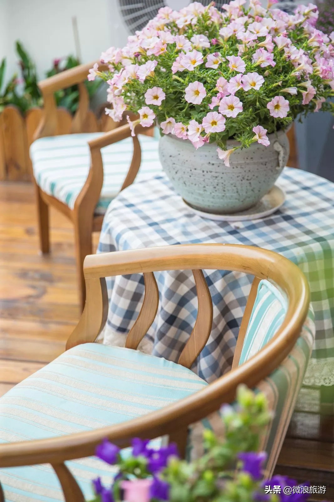 白鹭湾的“选美大赛”，谁是你心中最美的“姑娘”