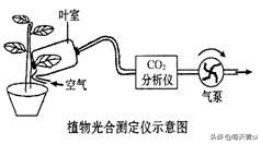 高中生物必修一试卷解析,高中必修一生物试卷