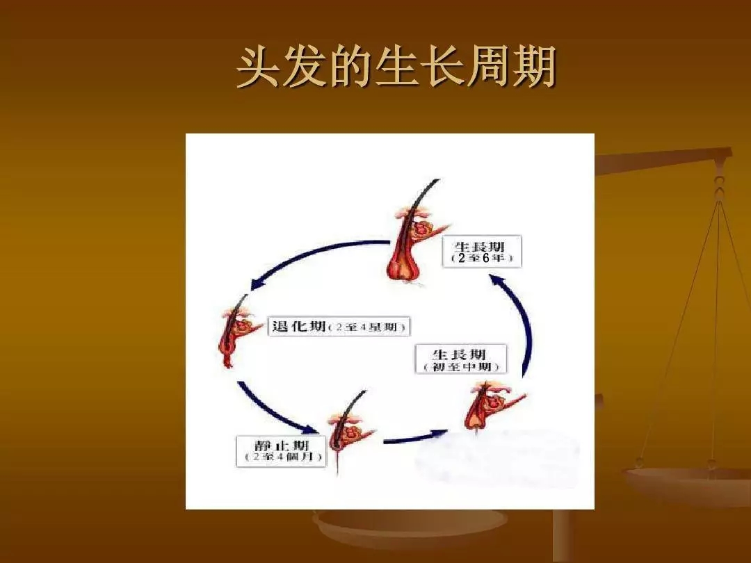 头发也有寿命限制吗,头发也会有生长期脱落期吗