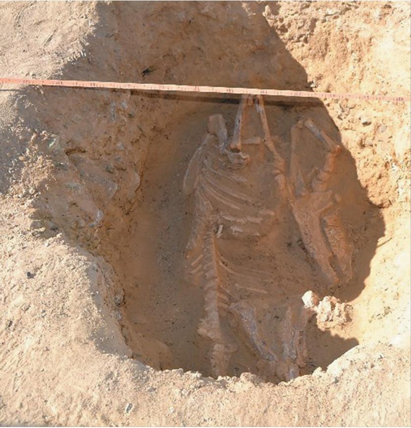 新疆哈密市伊吾县气候条件咋样,新疆哈密市伊吾县属于南疆么