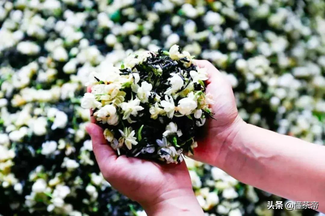 压力大的时候喝什么养生茶,压力大喝点什么茶调理