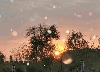 七夕创意视频教程,七夕视频制作app