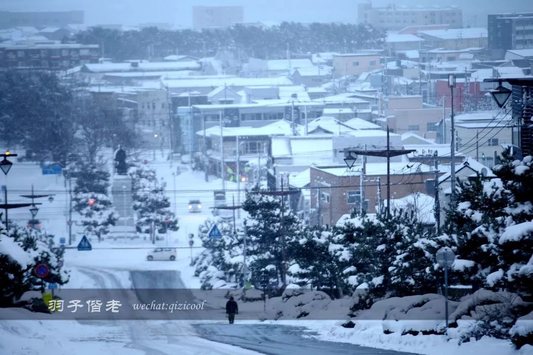 老实说,这一趟北海道就是为了拍好看的照片去的