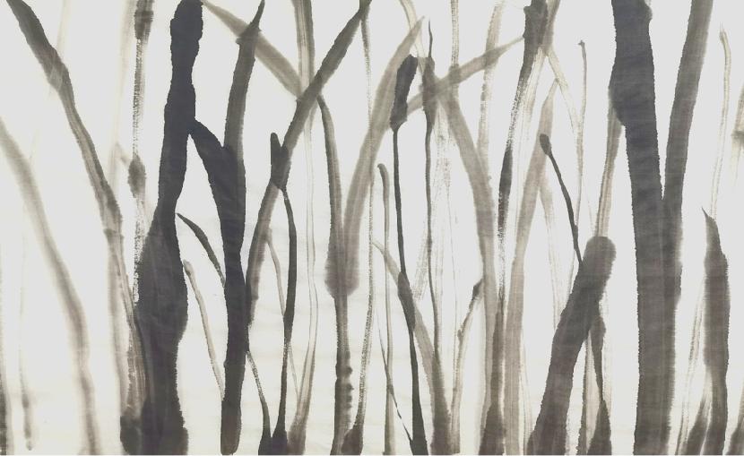 确定性与不确定的流动|城市景观设计有什么新看头？